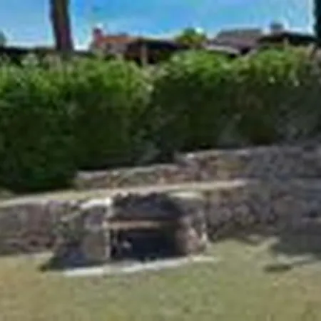 Daire Welcomely - Giorgia Costa Rei